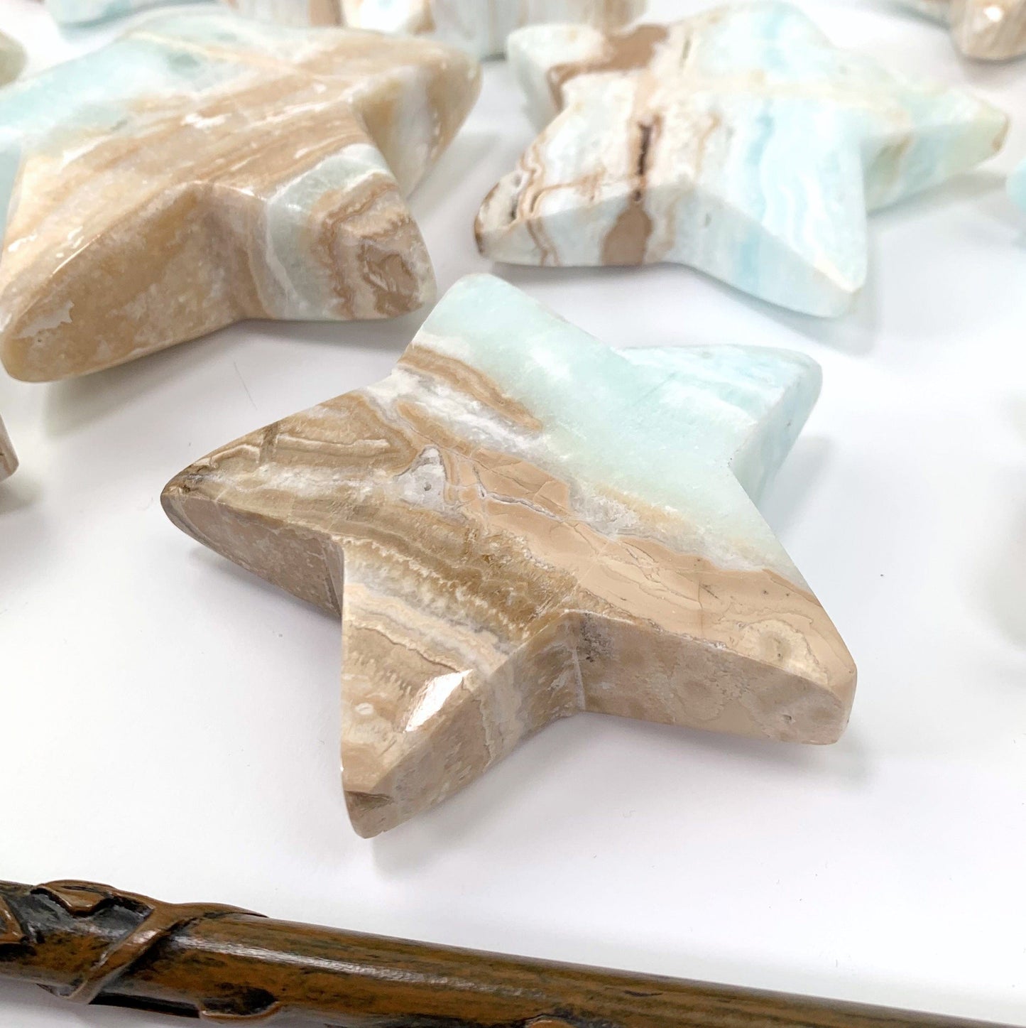 close up of one caribbean calcite star