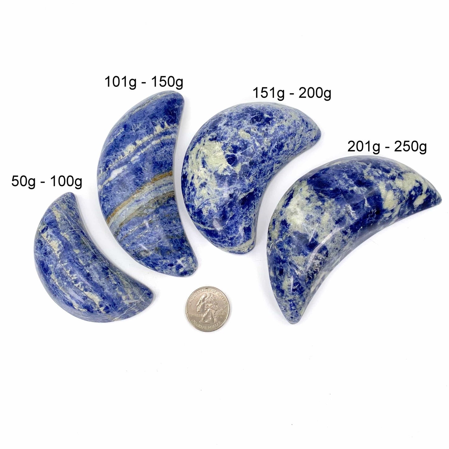 all 4 variants around a quarter with a white background