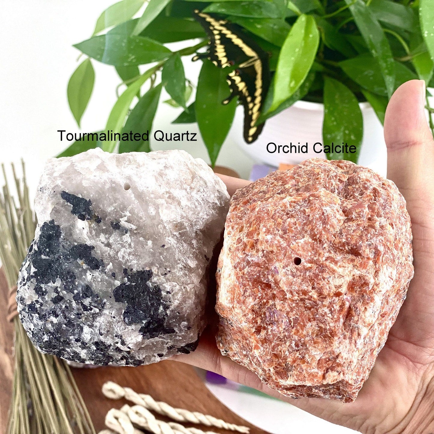 Hand holding 1 tourmalinated quartz and 1 orchid calcite Rough Stone Incense Burner with decorations in the background