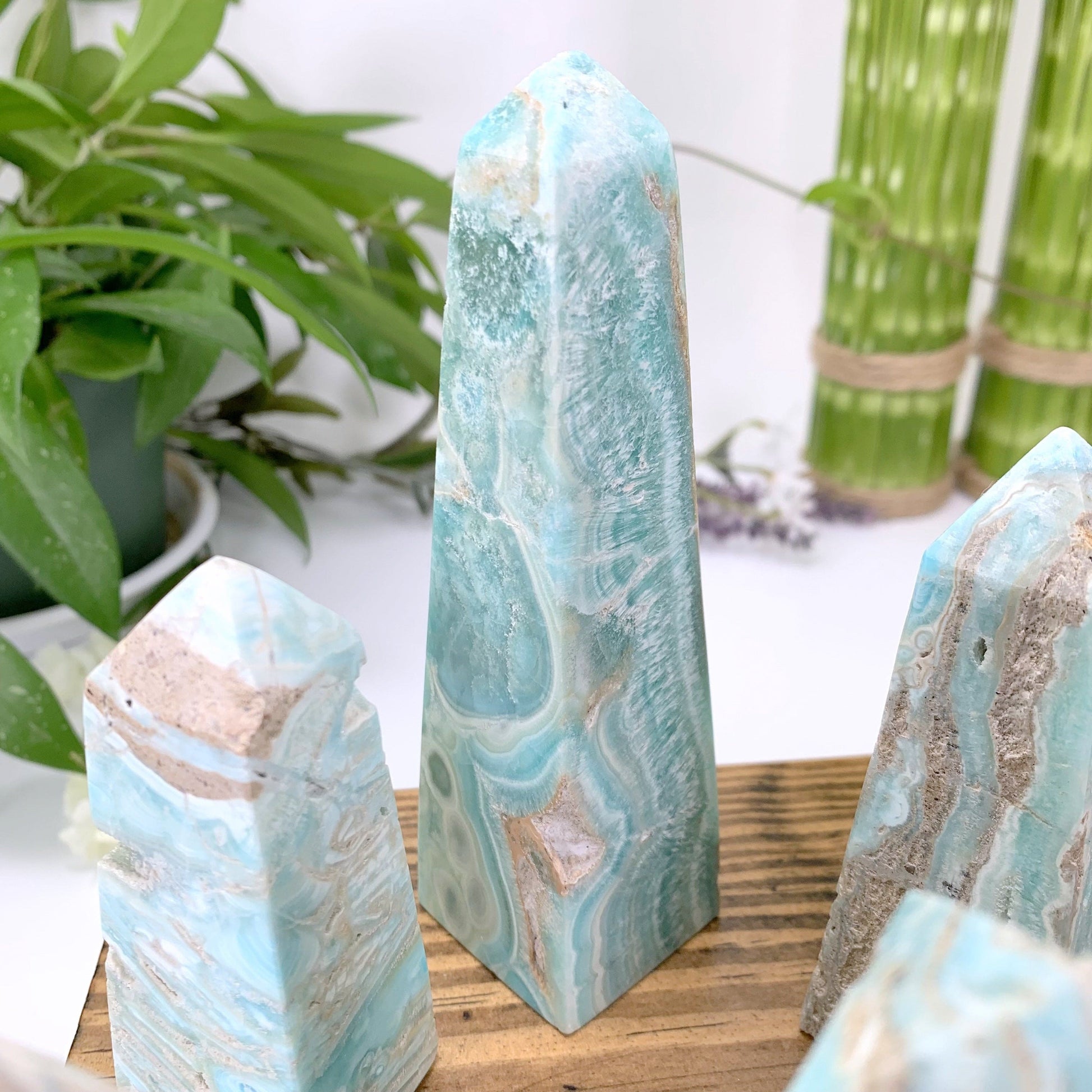 close up of a single obelisk