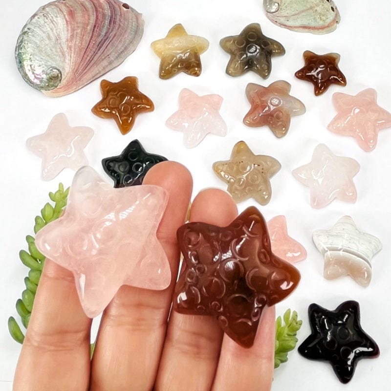 carved sea stars in hand for size reference 