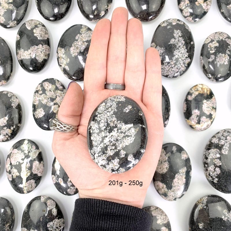 201 gram - 250 gram black jade with pink thulite palm stone in hand with white background