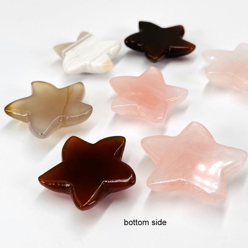 bottom side of the gemstone starfish 
