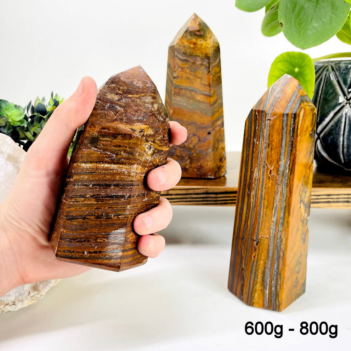three 600g - 800g tiger eye polished points on display for possible variations with one in hand for size reference