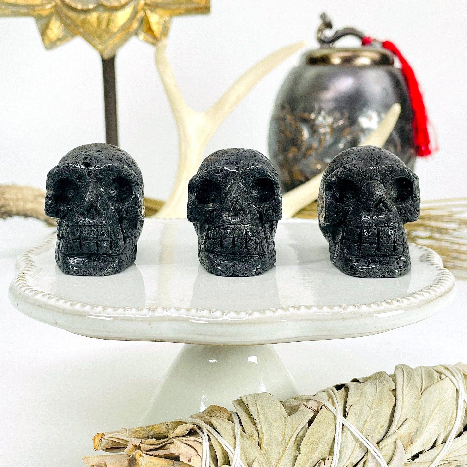 front view of three lava skull heads on display in front of backdrop for possible variations