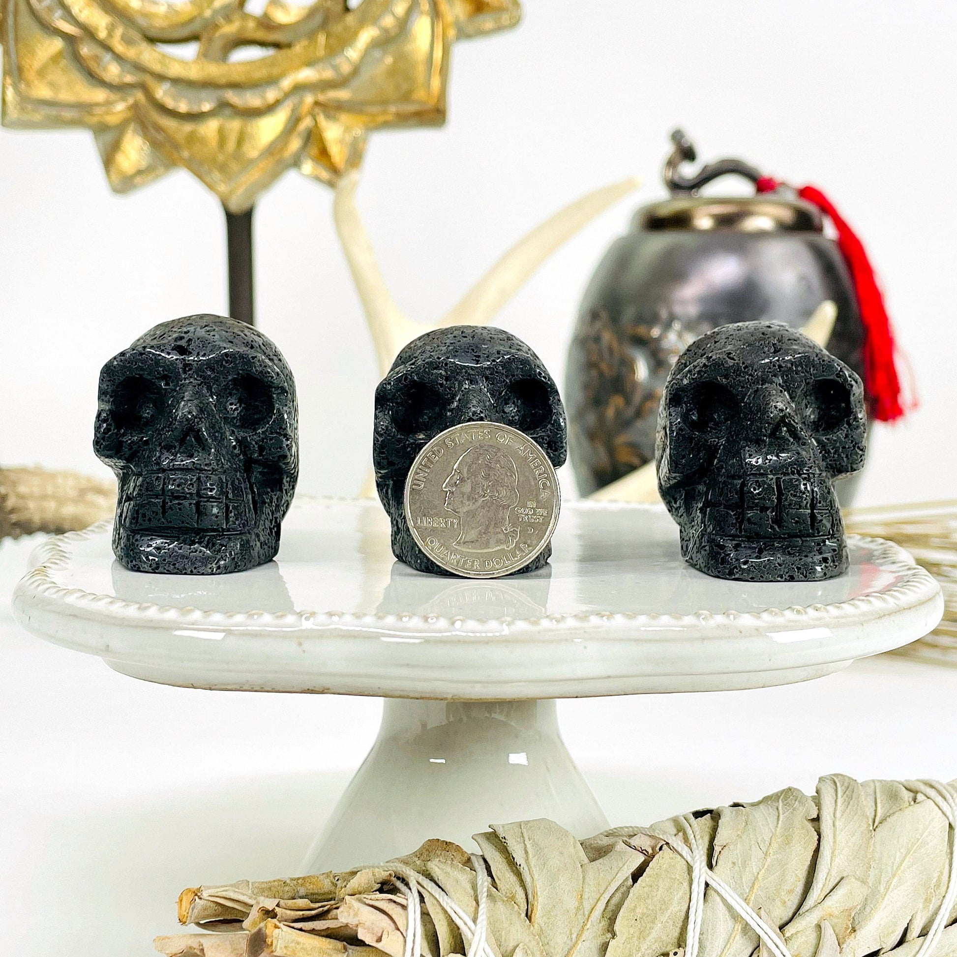 front view of three lava skull heads on display in front of backdrop with a quarter in front of one for size reference