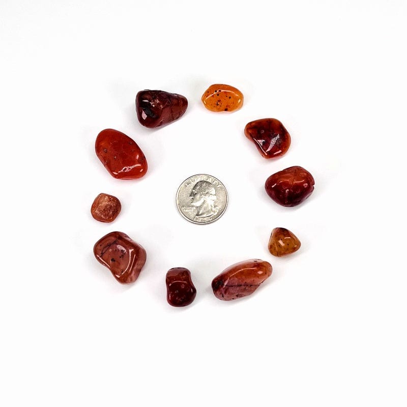 Carnelian Small Tumbled Stones - 1 lb Bag