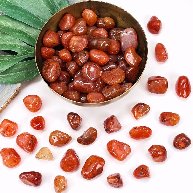 Carnelian Small Tumbled Stones - 1 lb Bag