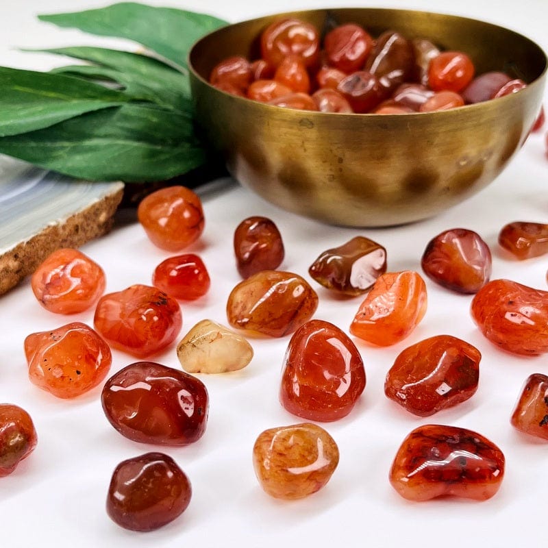 Carnelian Small Tumbled Stones - 1 lb Bag