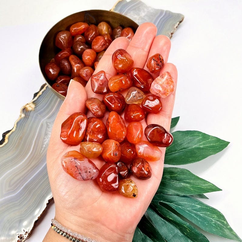 Carnelian Small Tumbled Stones - 1 lb Bag