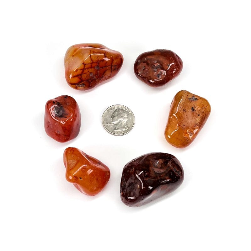 Large Carnelian Tumbled Stones - 1 lb bag