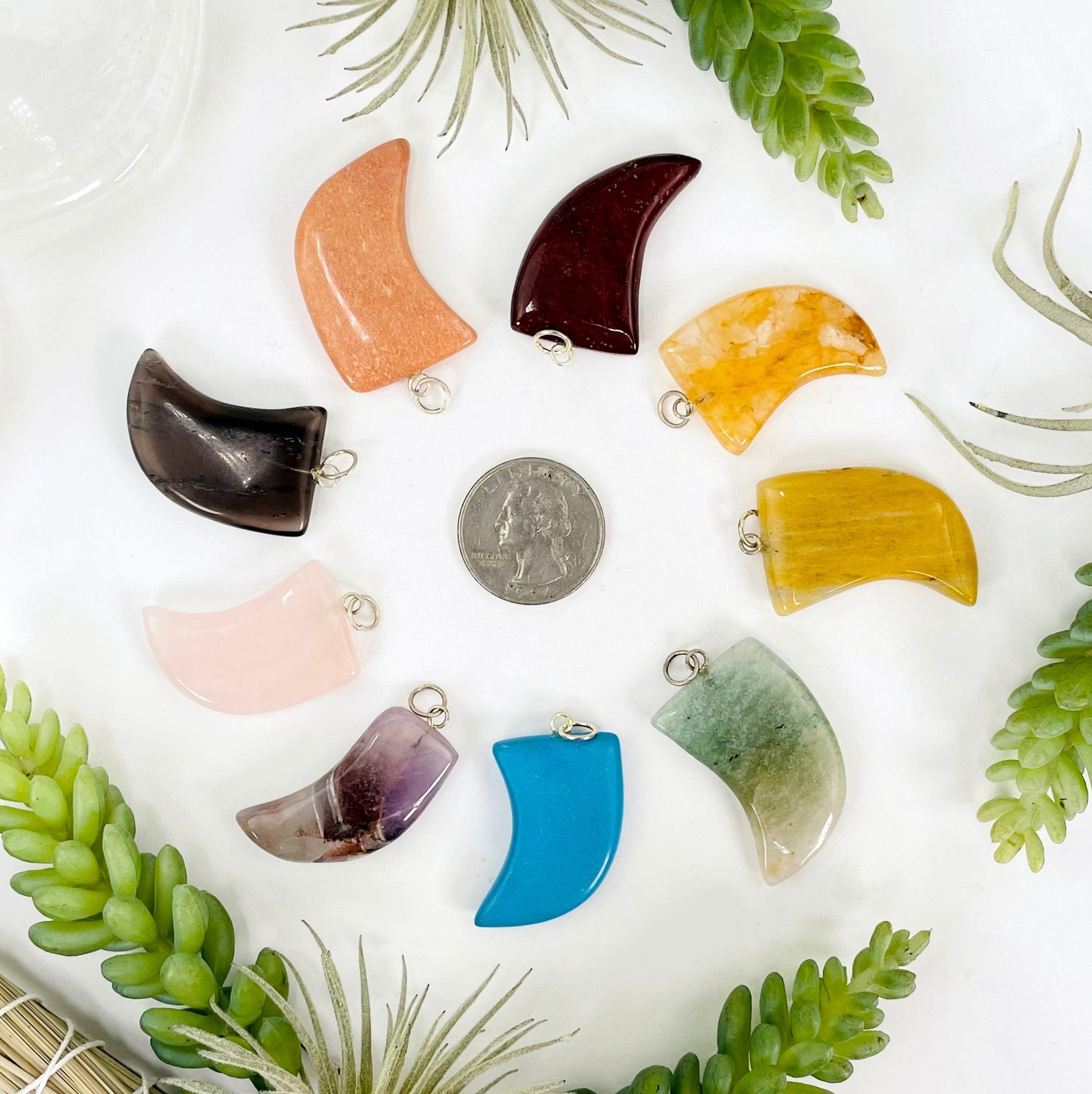 overhead view of one of each tumbled horn pendant options on white background with a quarter for size reference 