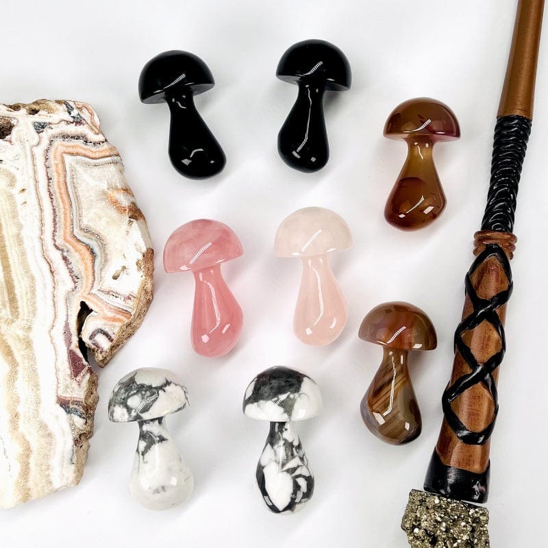 multiple mushroom gemstones displayed to show the difference in colors and stone types