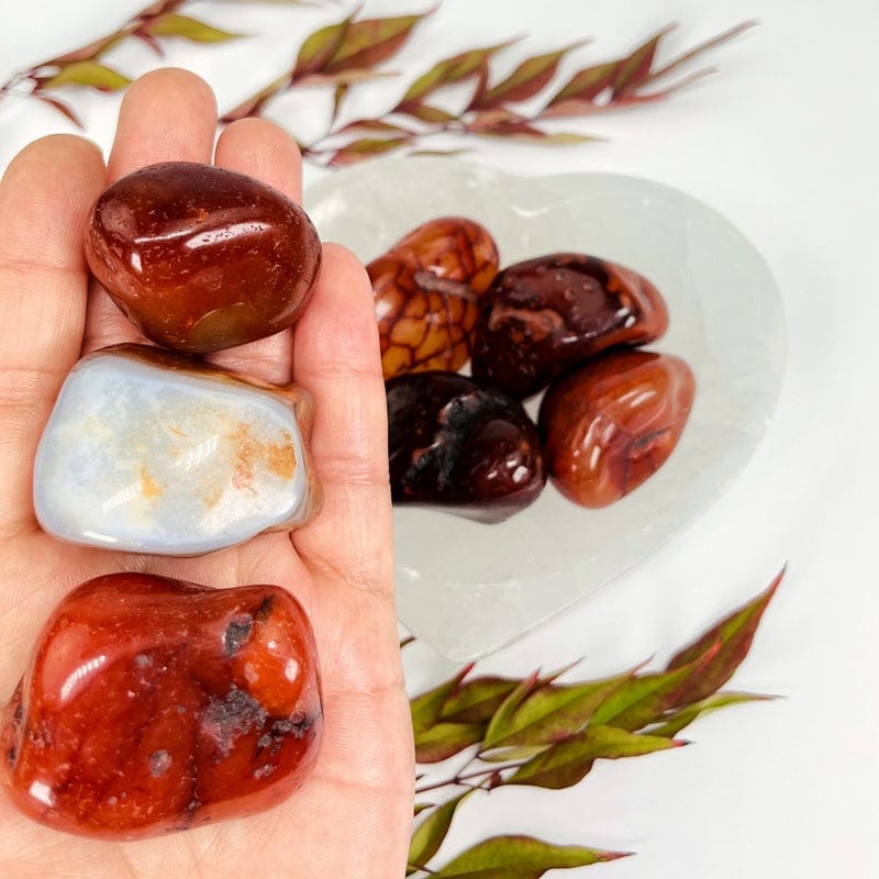 Large Carnelian Tumbled Stones - 1 lb bag