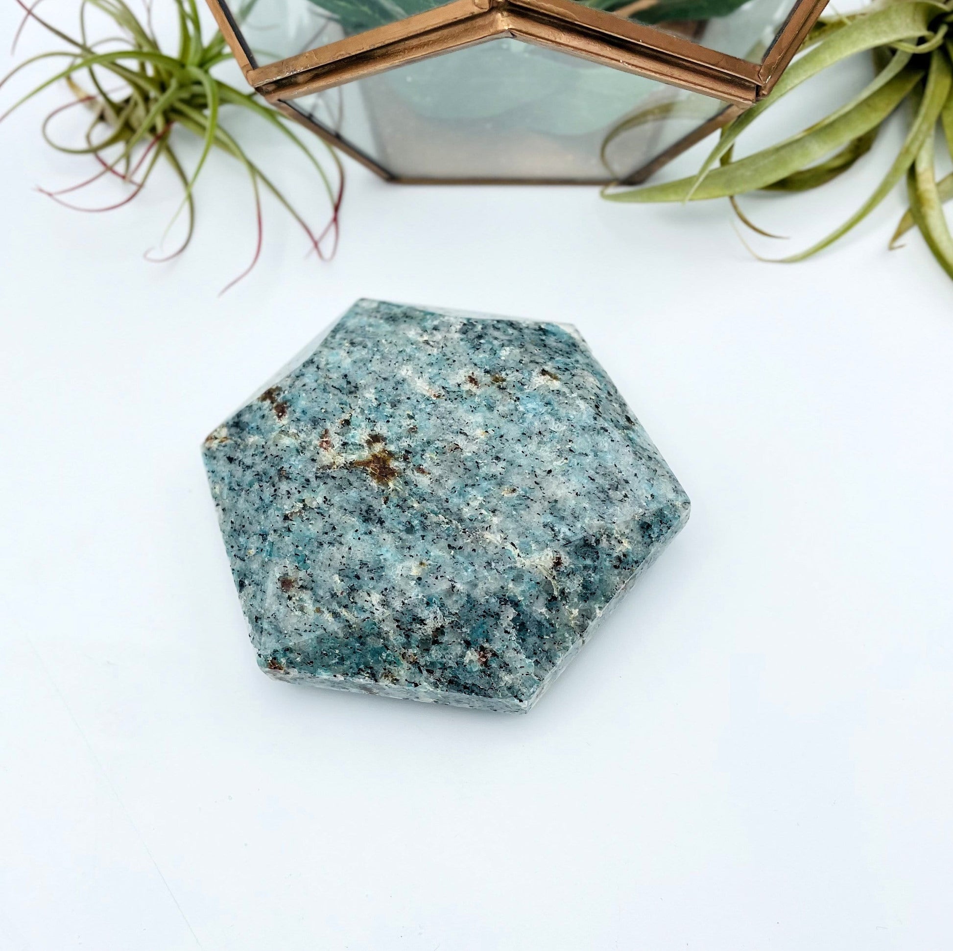 Hexagon is being displayed on a white surface. 