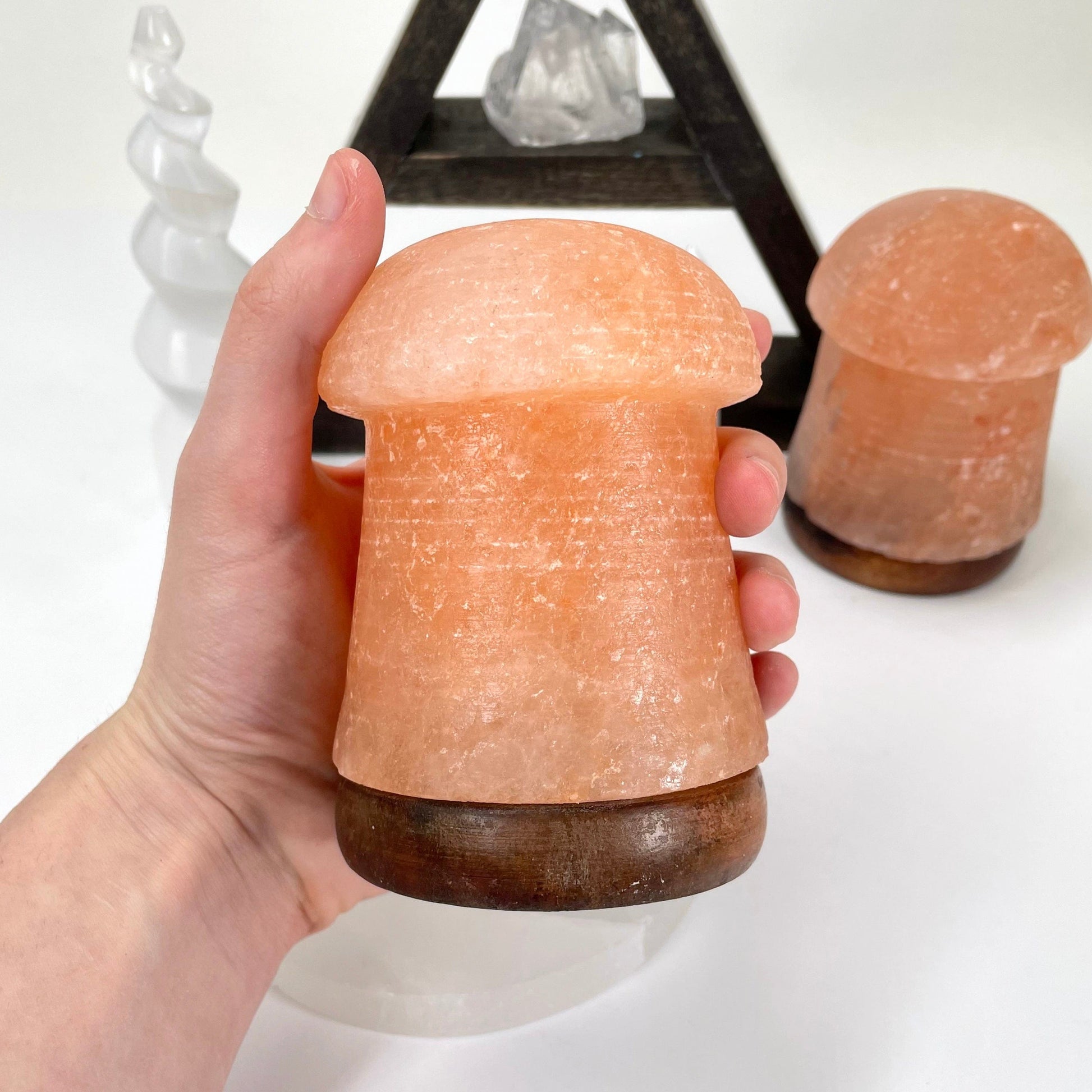 himalayan salt orange mushroom lamp in hand for size reference with another in background display