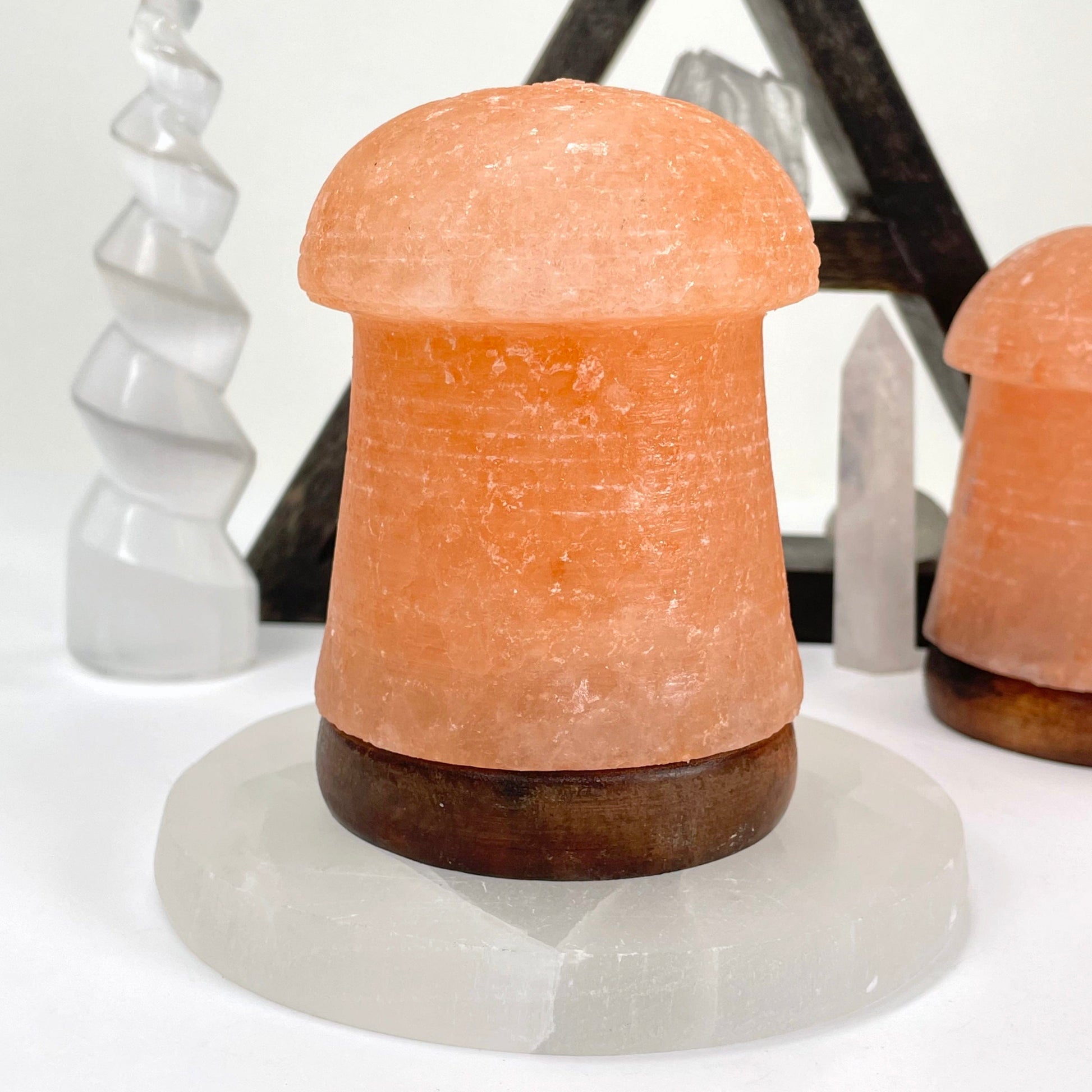 close up of one himalayan salt orange mushroom lamp for details in front of backdrop