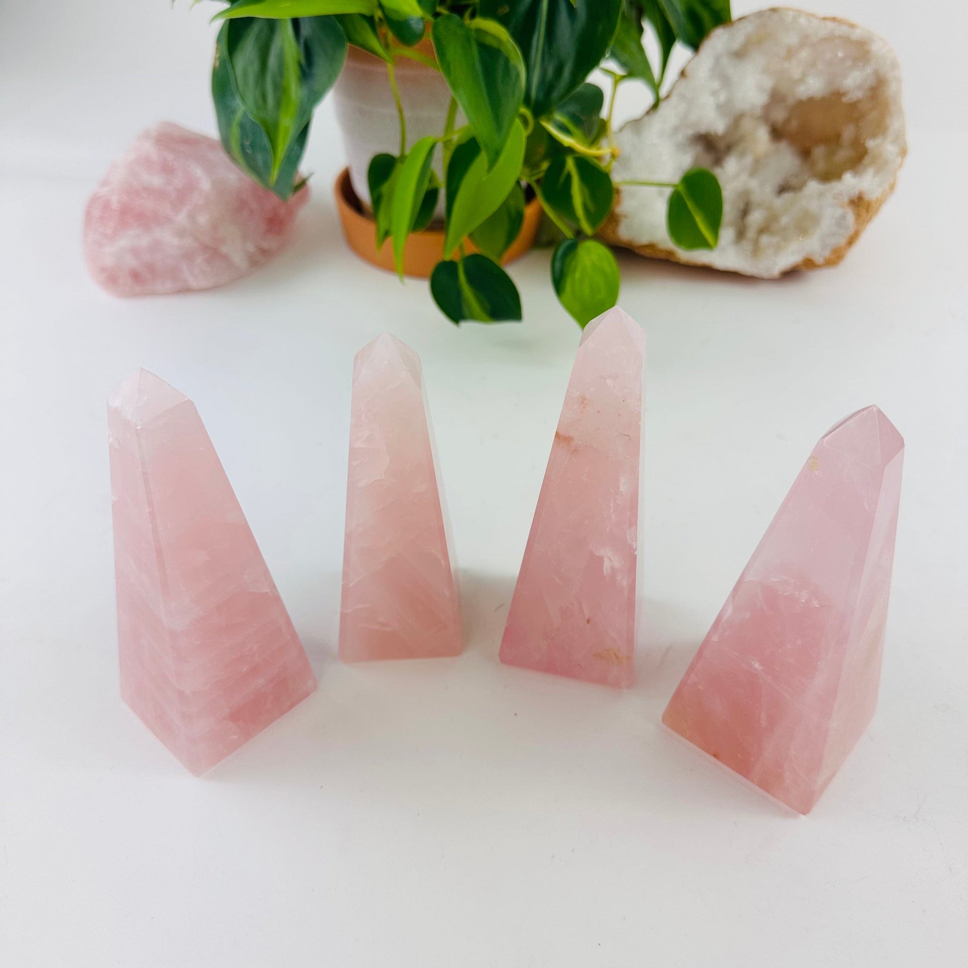 Rose Quartz Polished Obelisk Tower  Bulk Lot of 4 on display
