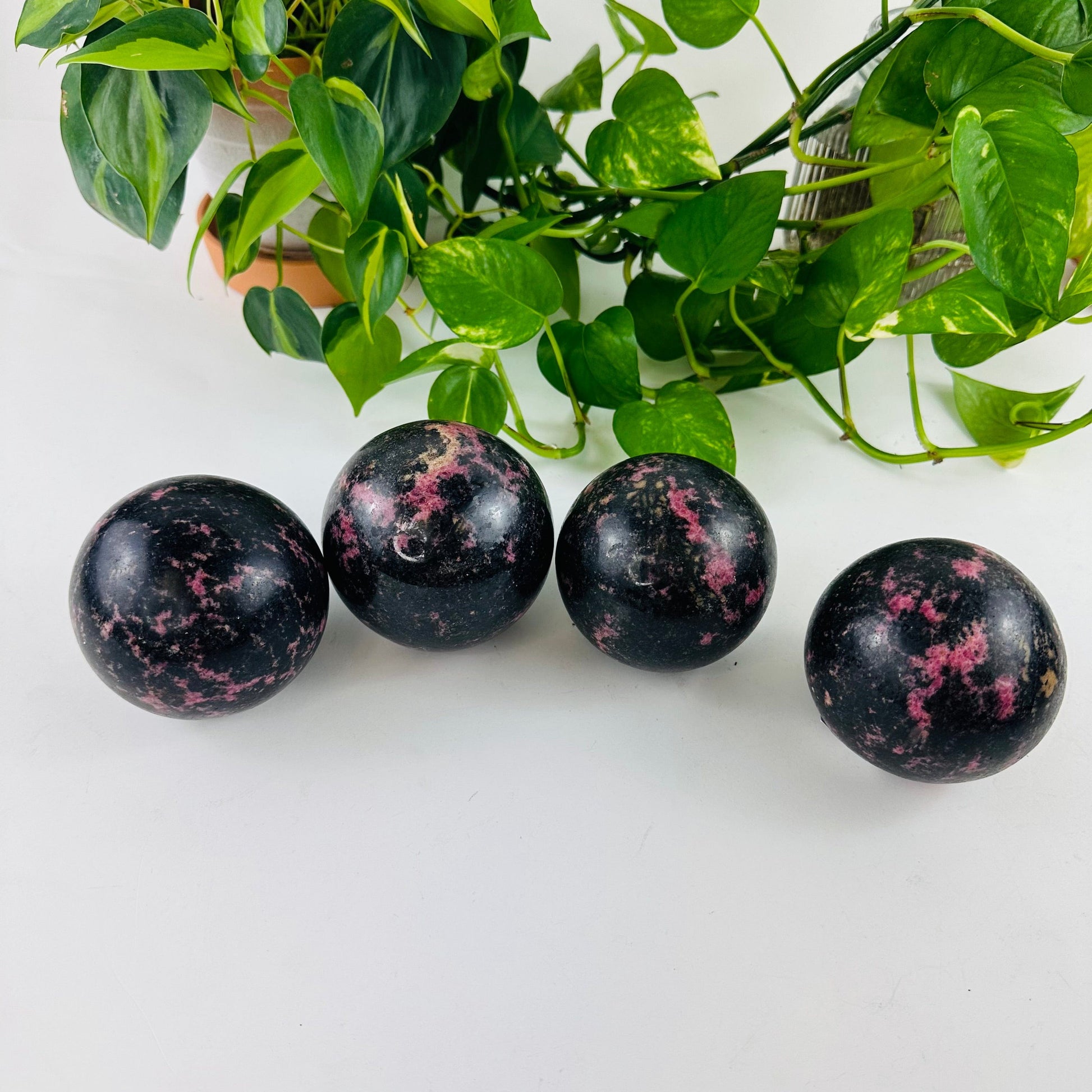 Rhodonite Spheres Bulk Lot of 4 in a row on a table