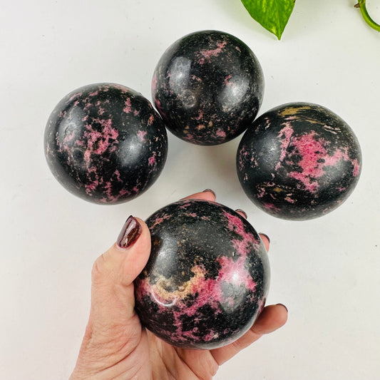 Rhodonite Spheres Bulk Lot of 4 with one in a hand for size reference