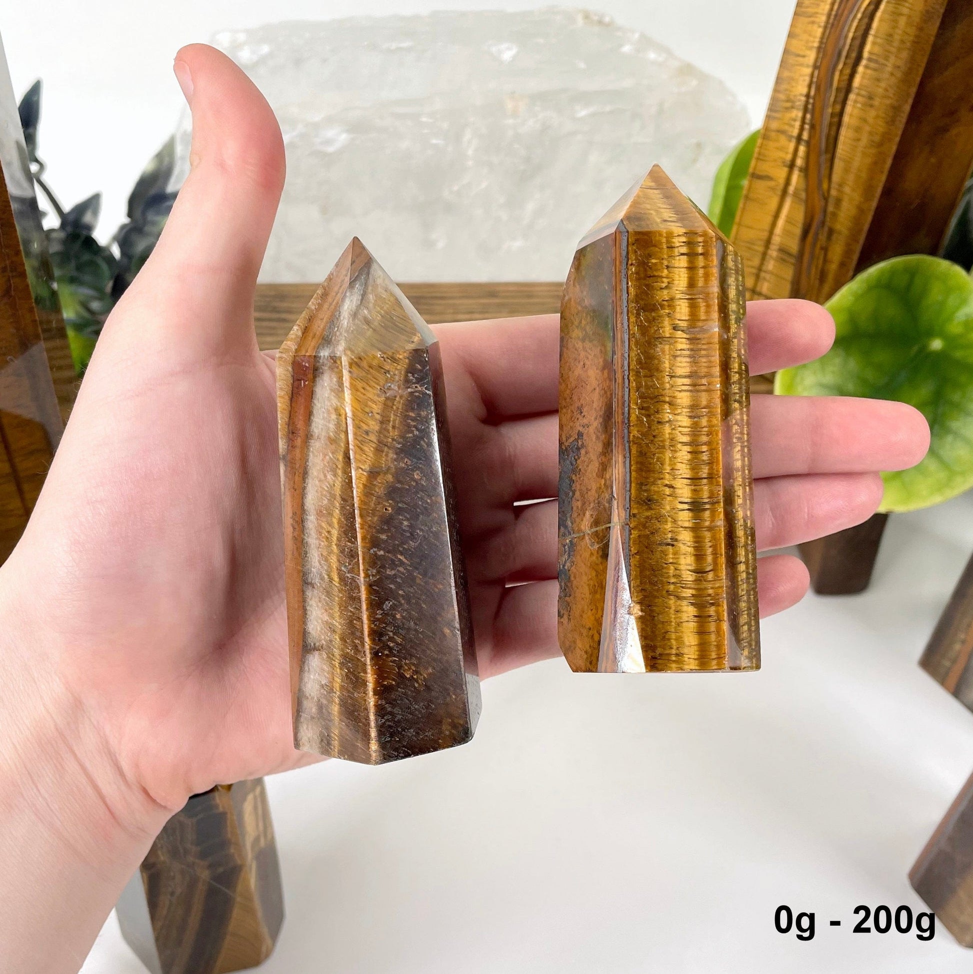 two 0g - 200g tigers eye polished points in hand for size reference and possible variations