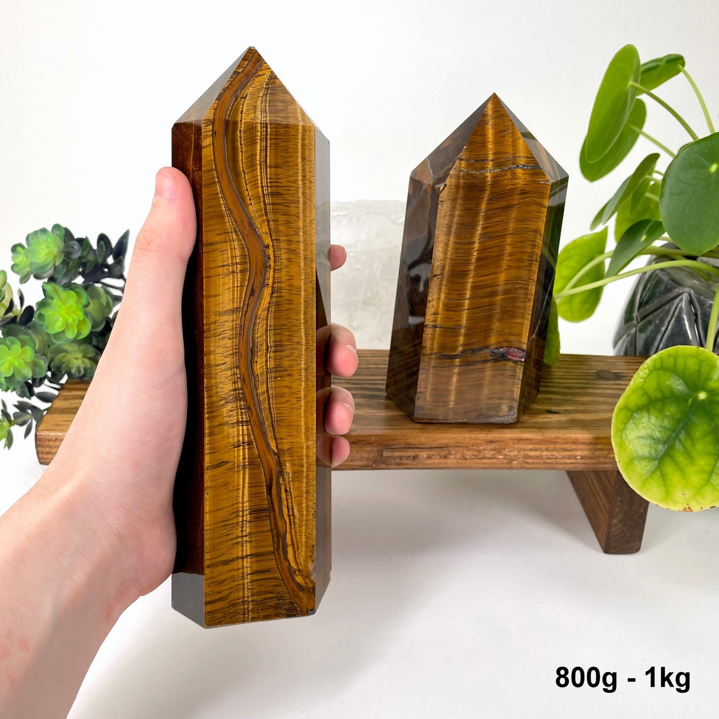 one 800g - 1kg tigers eye polished point in hand for size reference with one other on display for possible variations