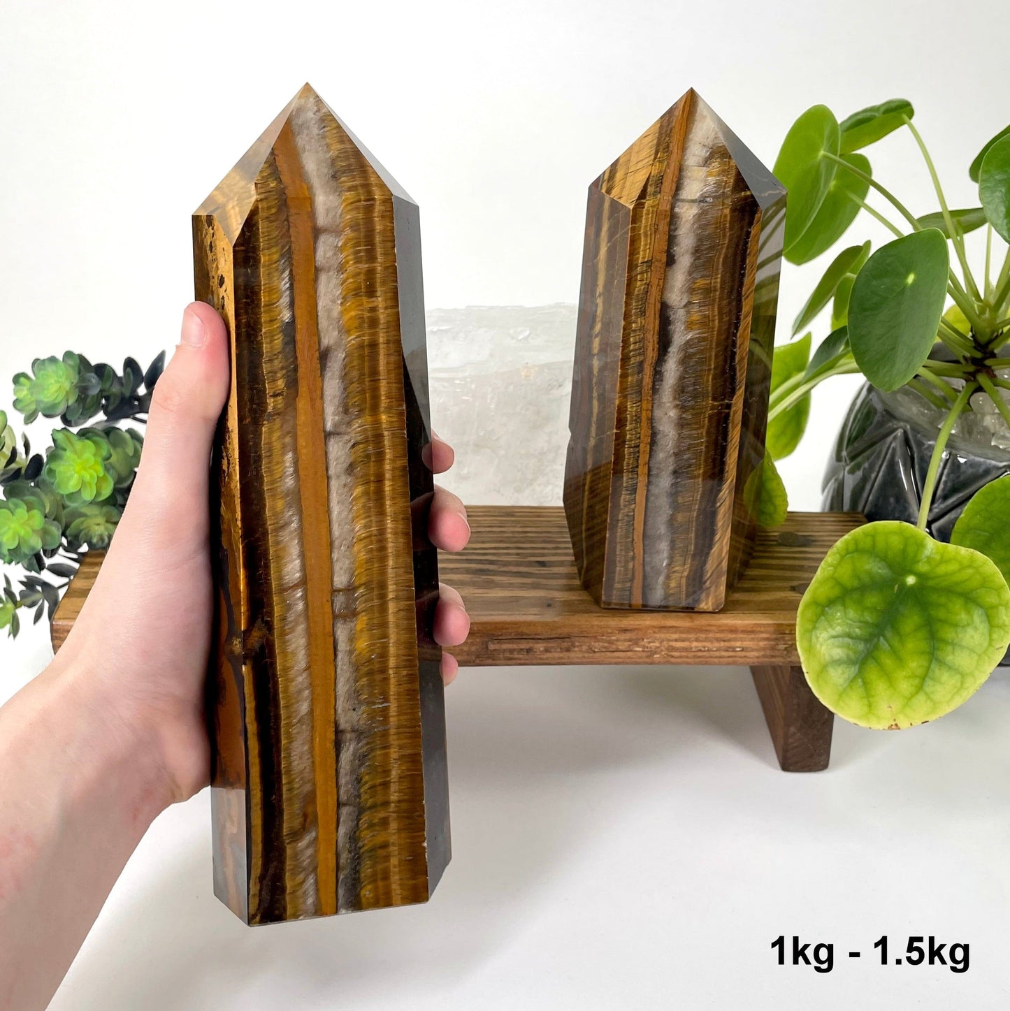one 1kg - 1.5kg tigers eye polished point in hand for size reference with one other on display for possible variations