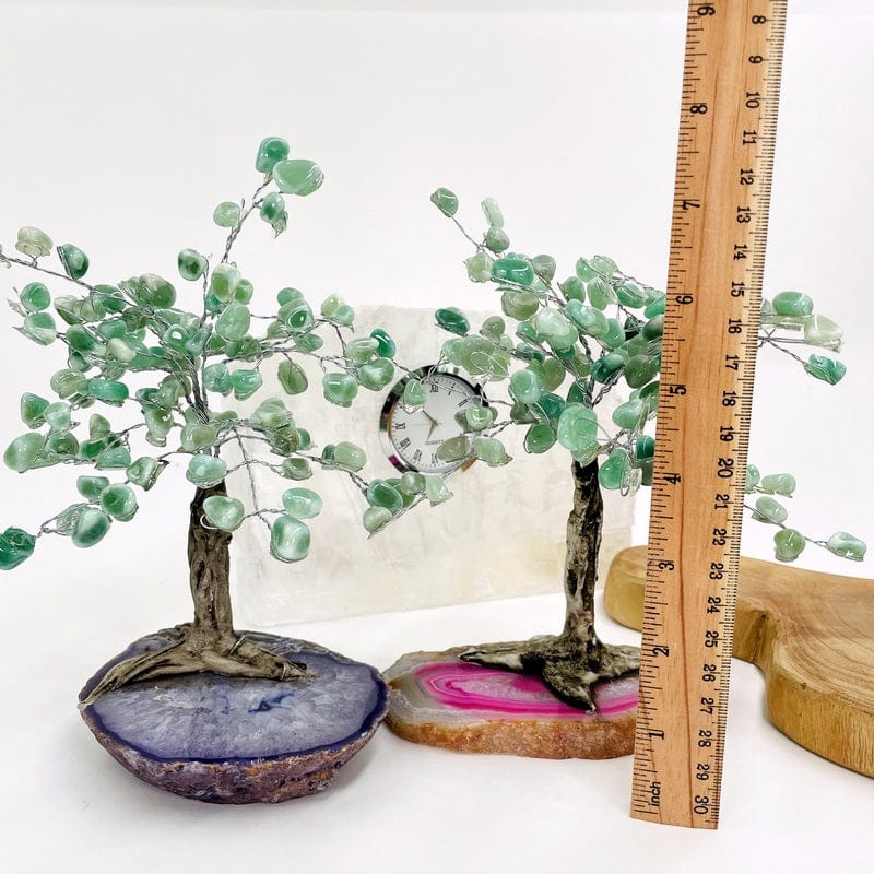 trees next to a ruler for size reference  
