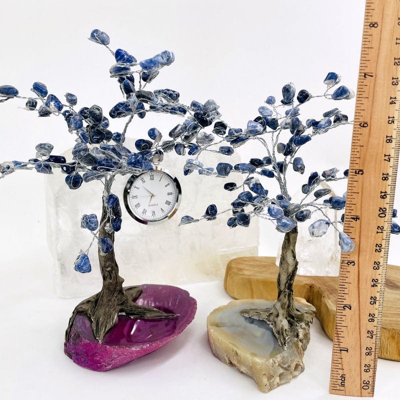 trees next to a ruler for size reference 