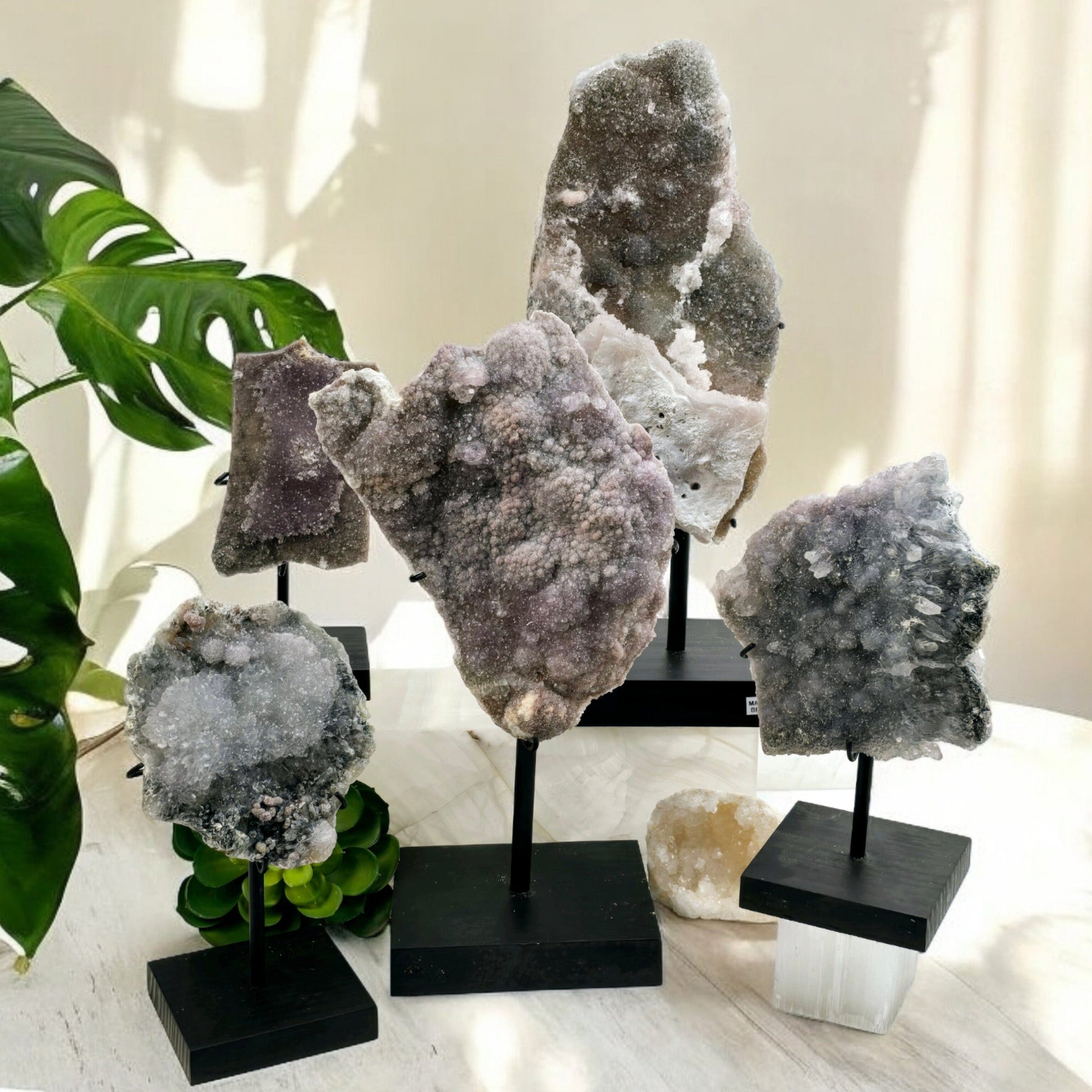 Amethyst Crystal Flower Cluster on Wooden Stand - You Choose #1 all variants with props and plants in the background