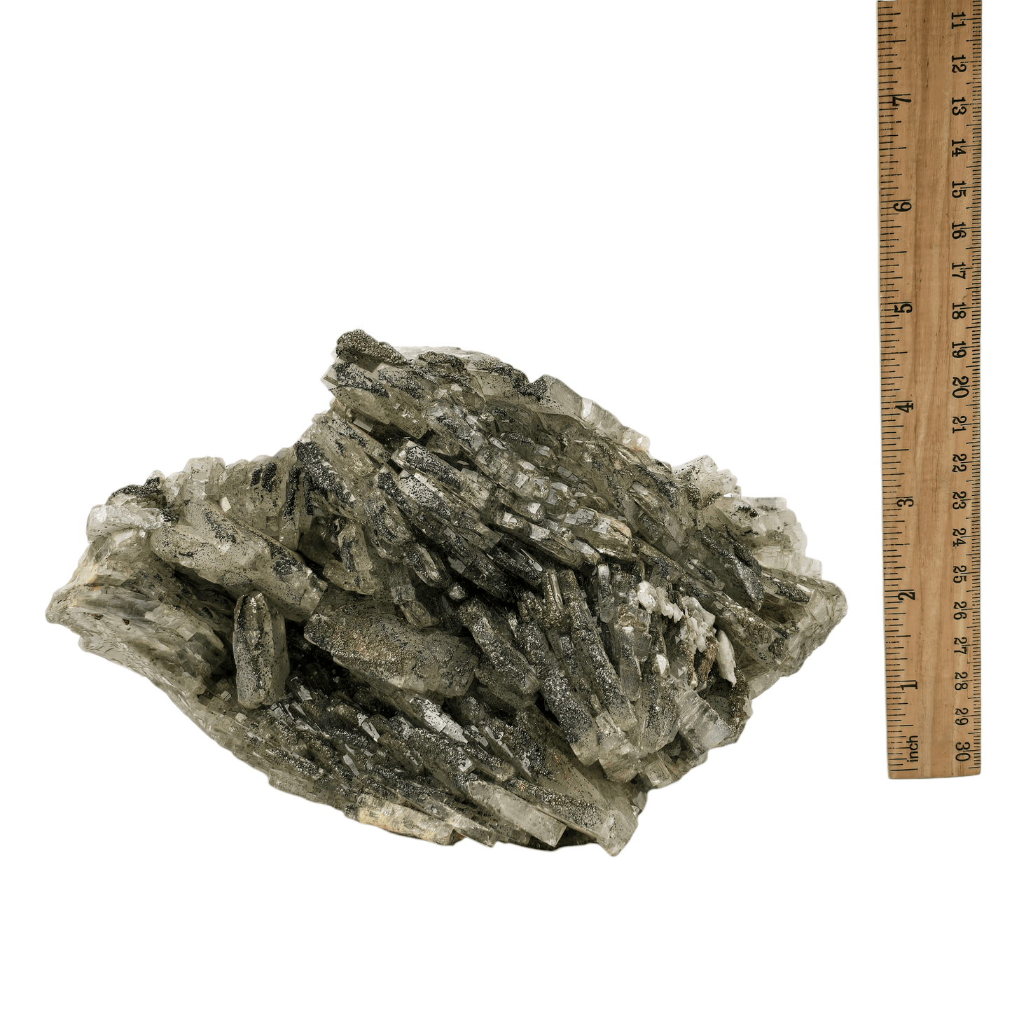 Arsenopyrite on Quartz - High Grade Crystal Specimen from Morocco #1 with ruler for size reference