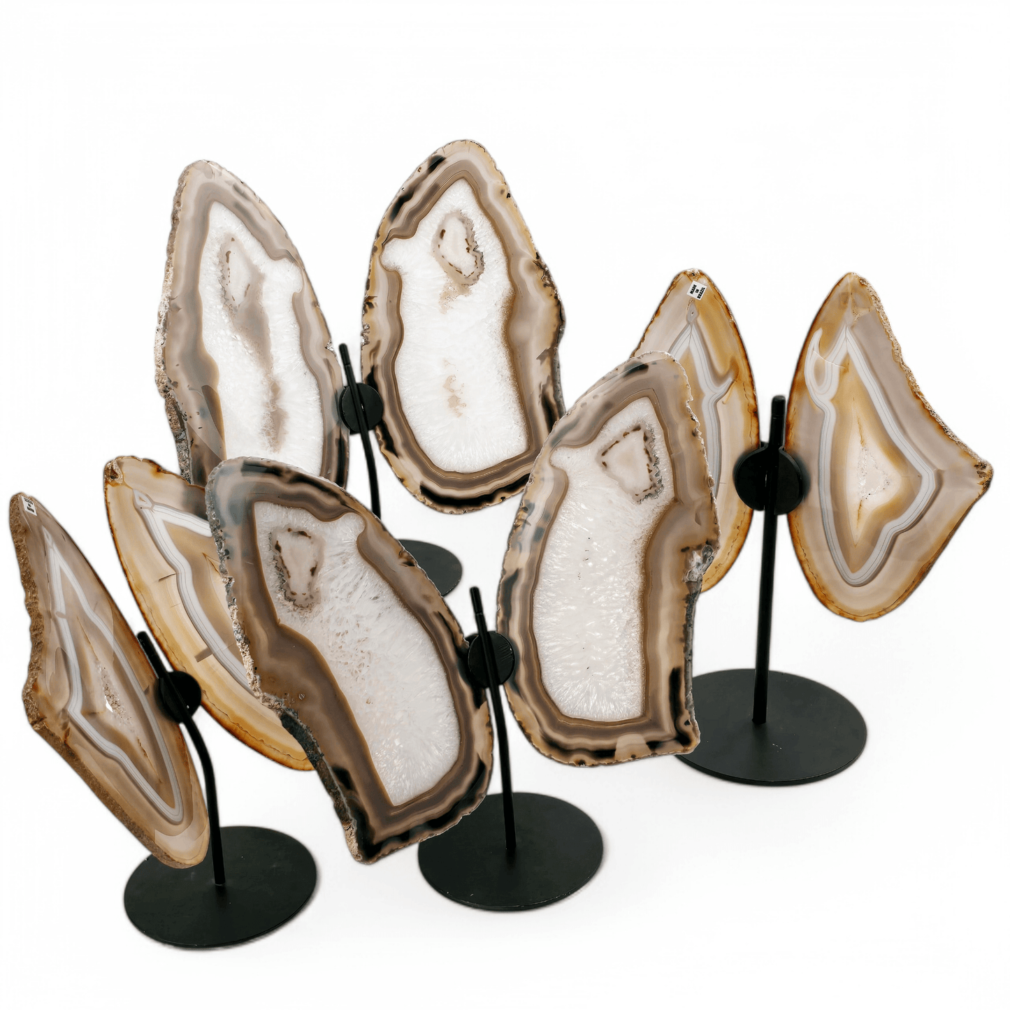 Agate Butterfly Wings - Crystal Slices Pair on Metal Stand - You Choose #2 all variants on white background