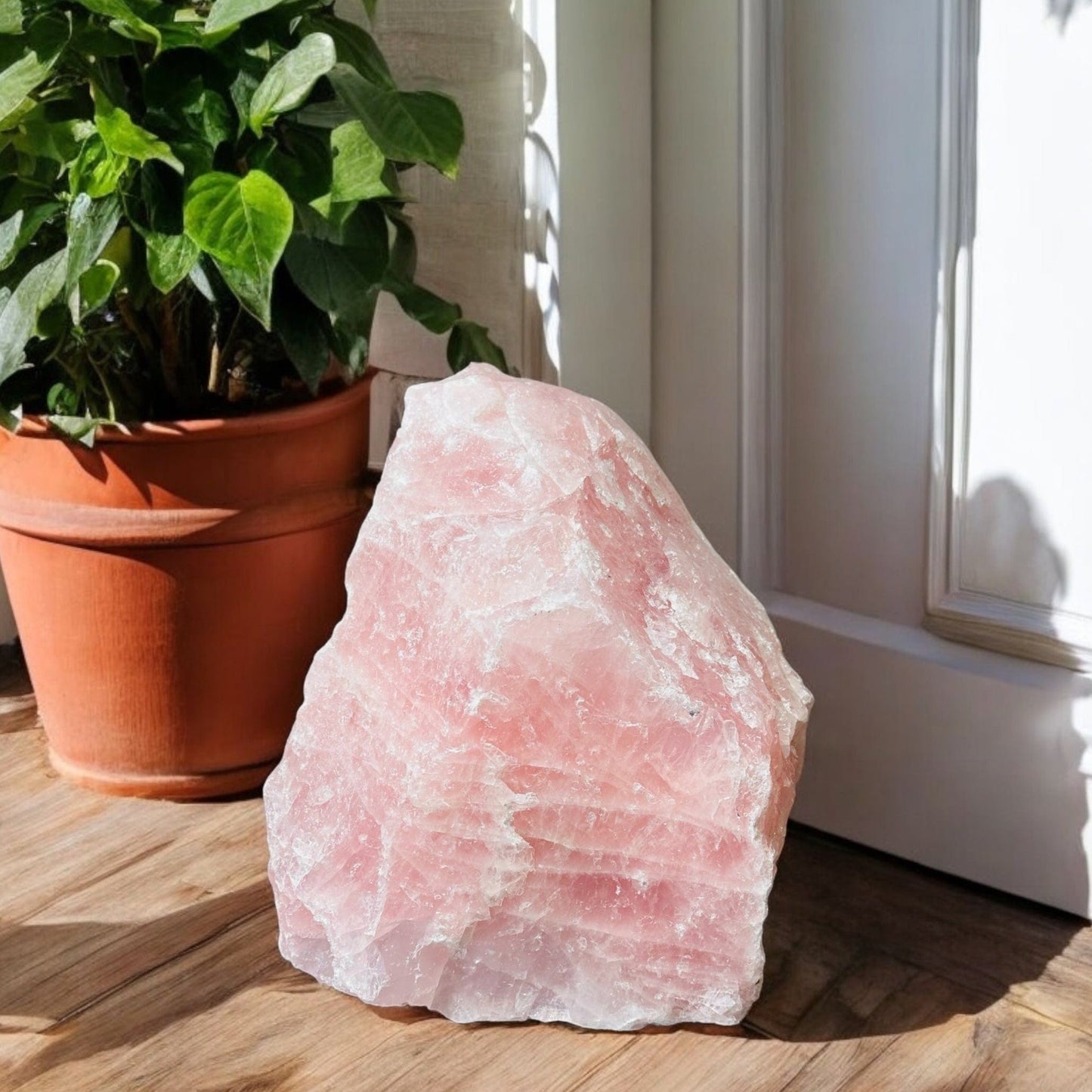 rose quartz crystal cluster displayed to some decor
