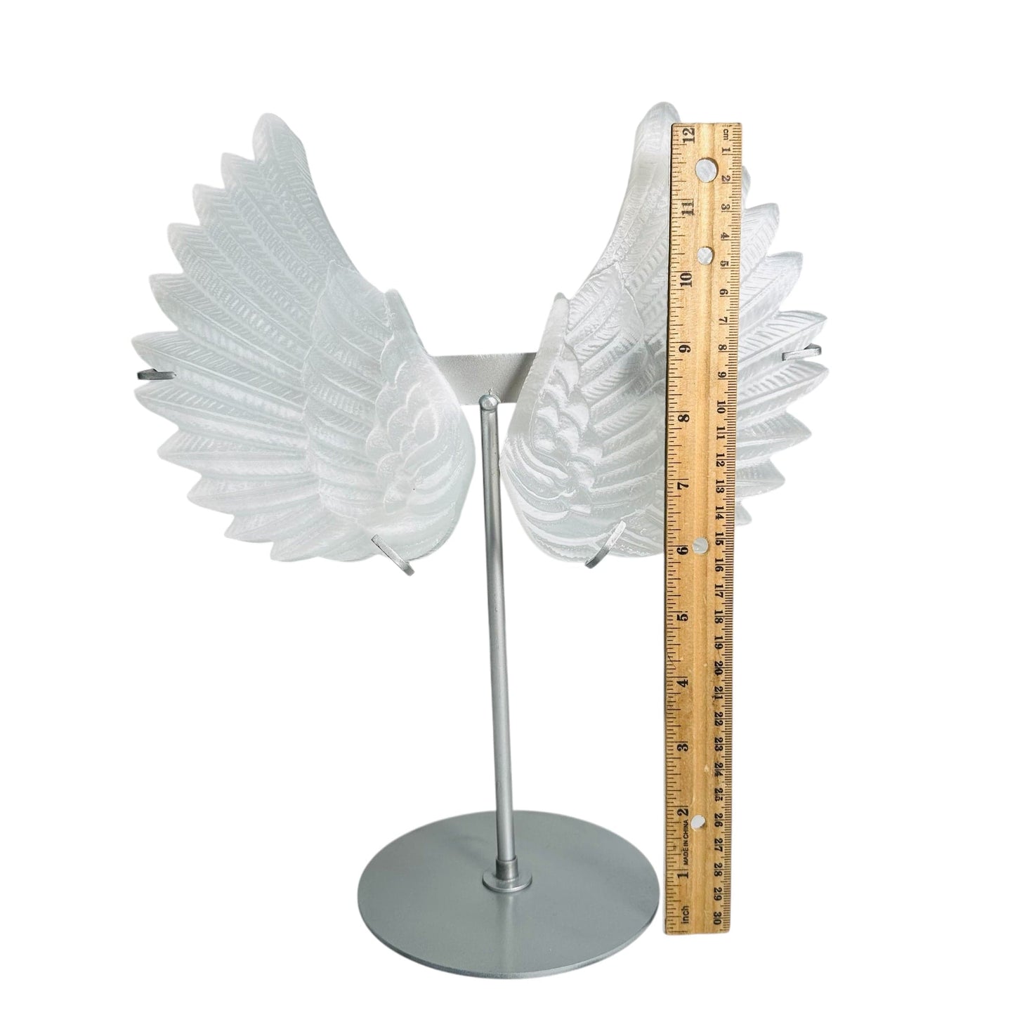 wings next to a ruler for size reference 