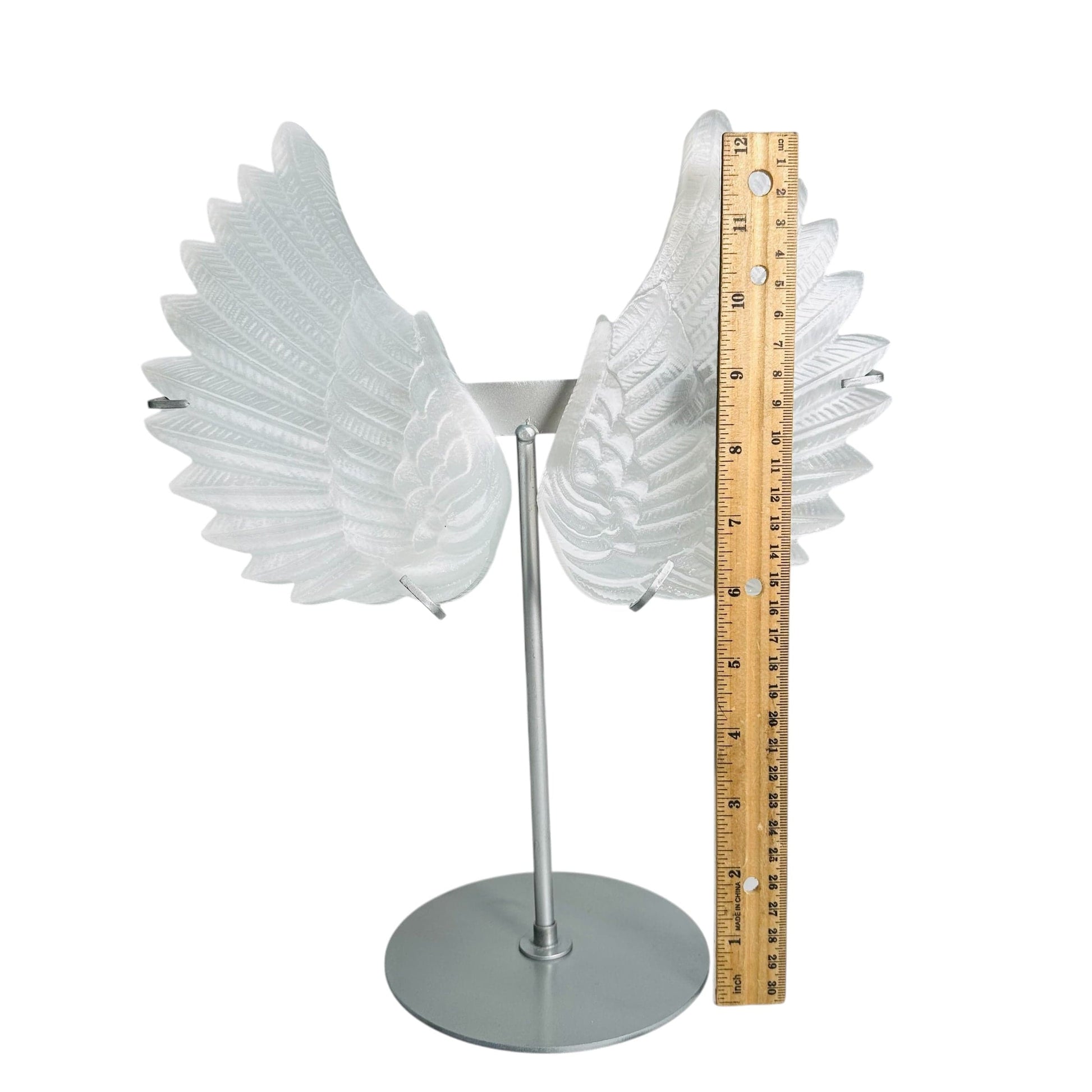 wings next to a ruler for size reference 