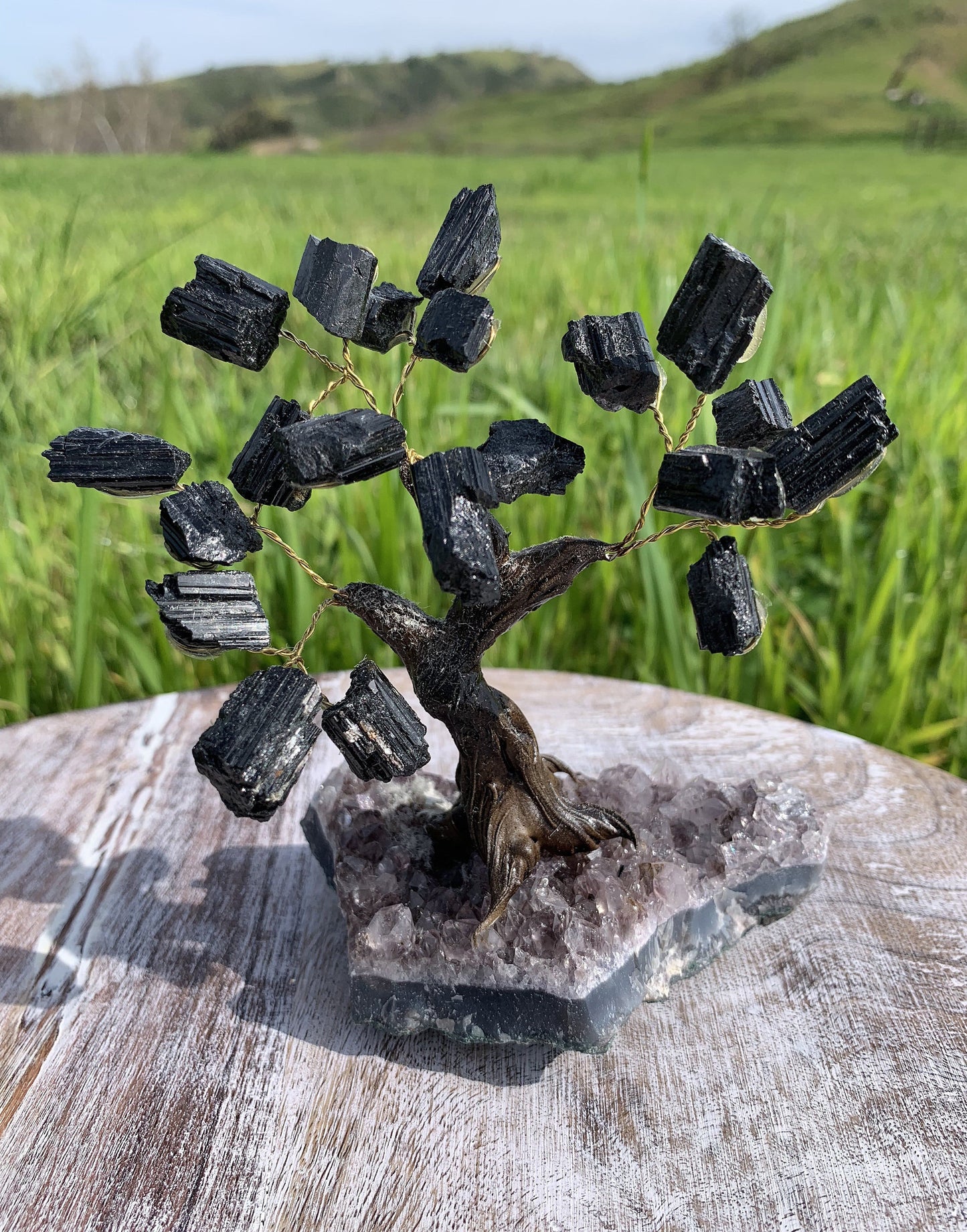 close up of the black tourmaline tree 