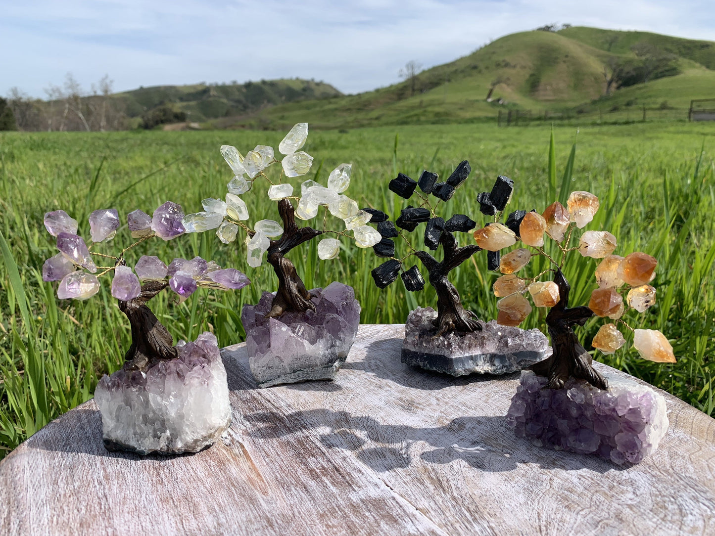 multiple crystal trees displayed to show the differences in the crystal types 