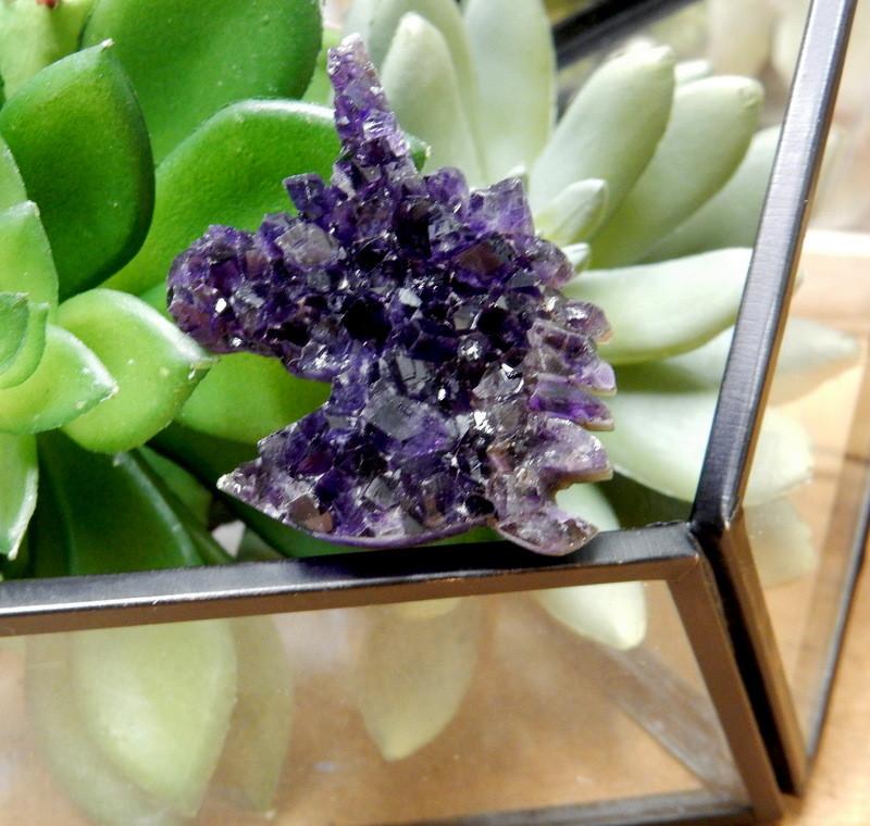 up close shot of amethyst unicorn cabochon with plants in the background