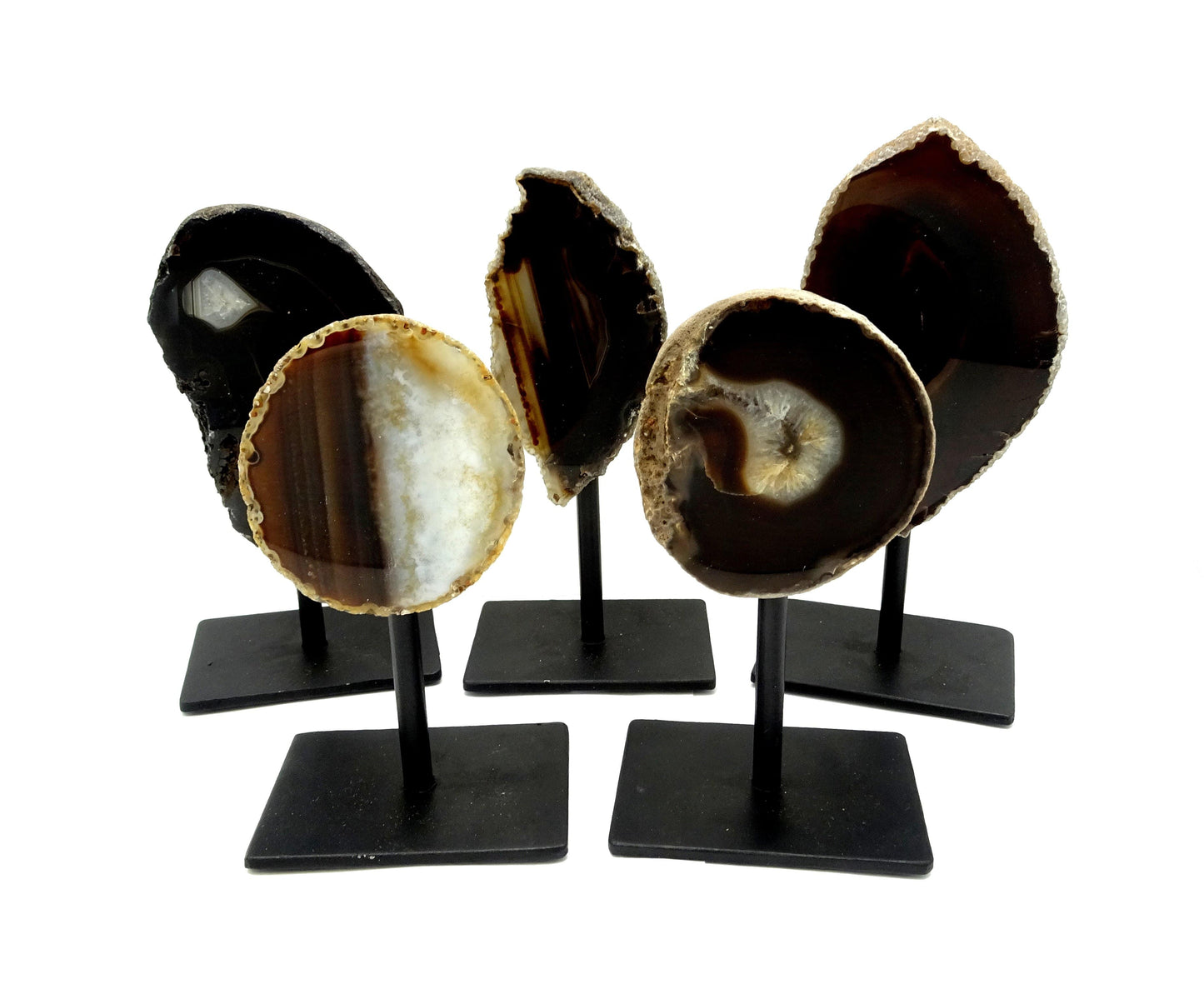 Five front facing agate geode on metal base with a white background.