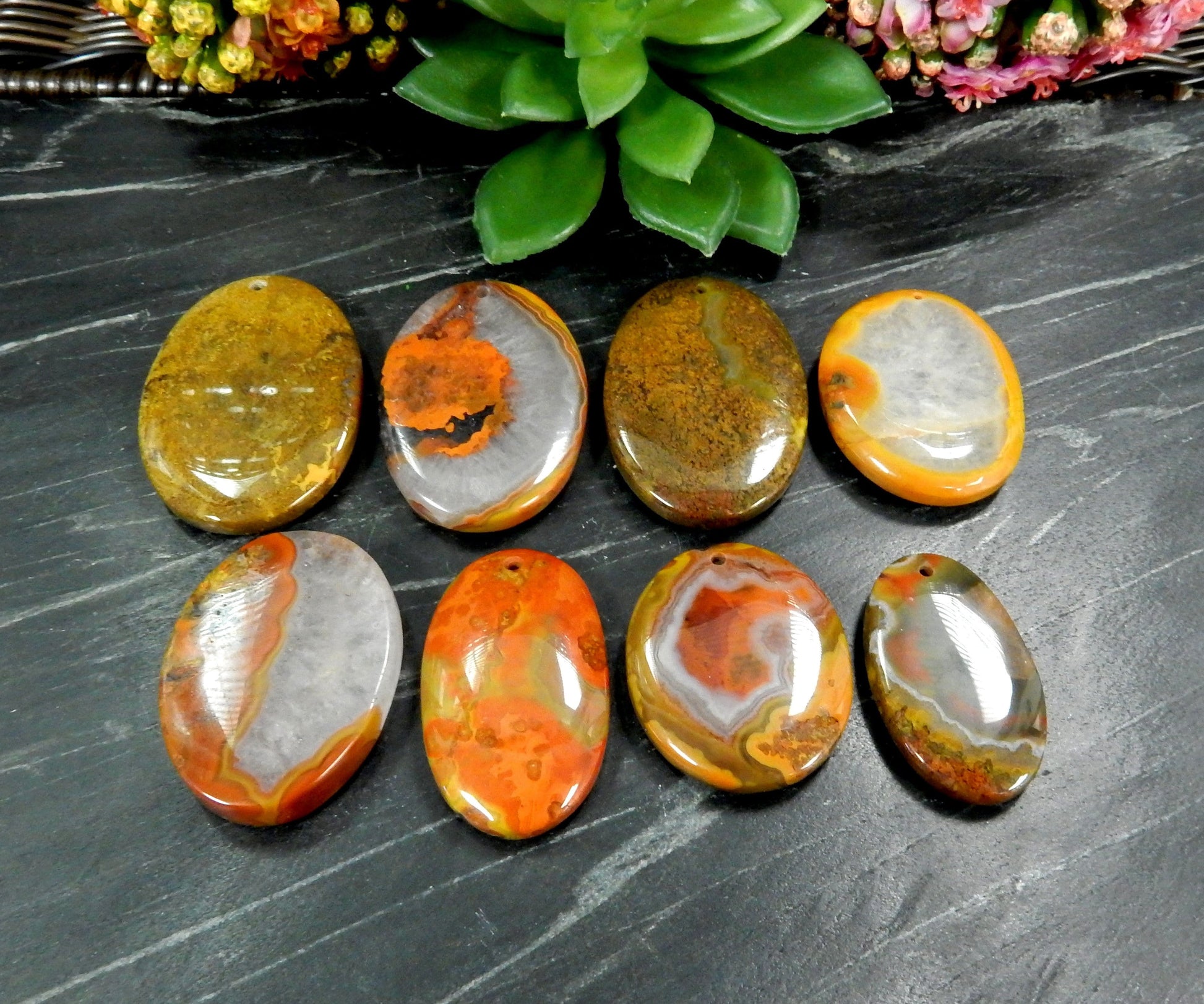  Red Chinese Agate Oval Shaped Beads in front of plant on black background