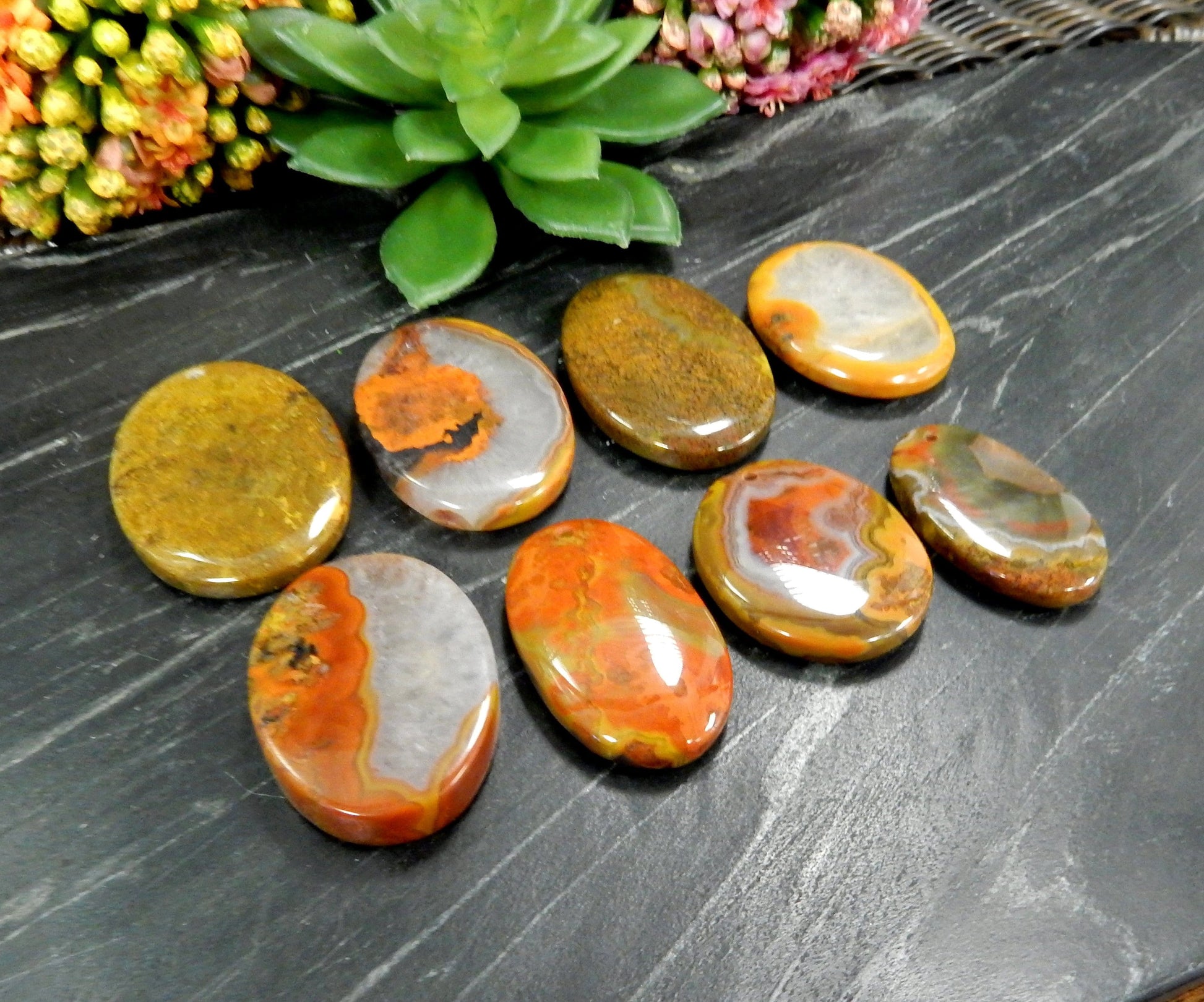 8 Red Chinese Agate Oval Shaped Beads in front of plant on black background