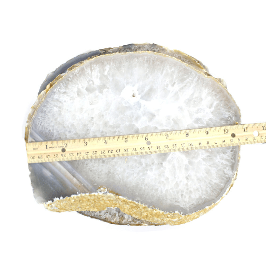 Picture of natural platter, with ruler for size referral.