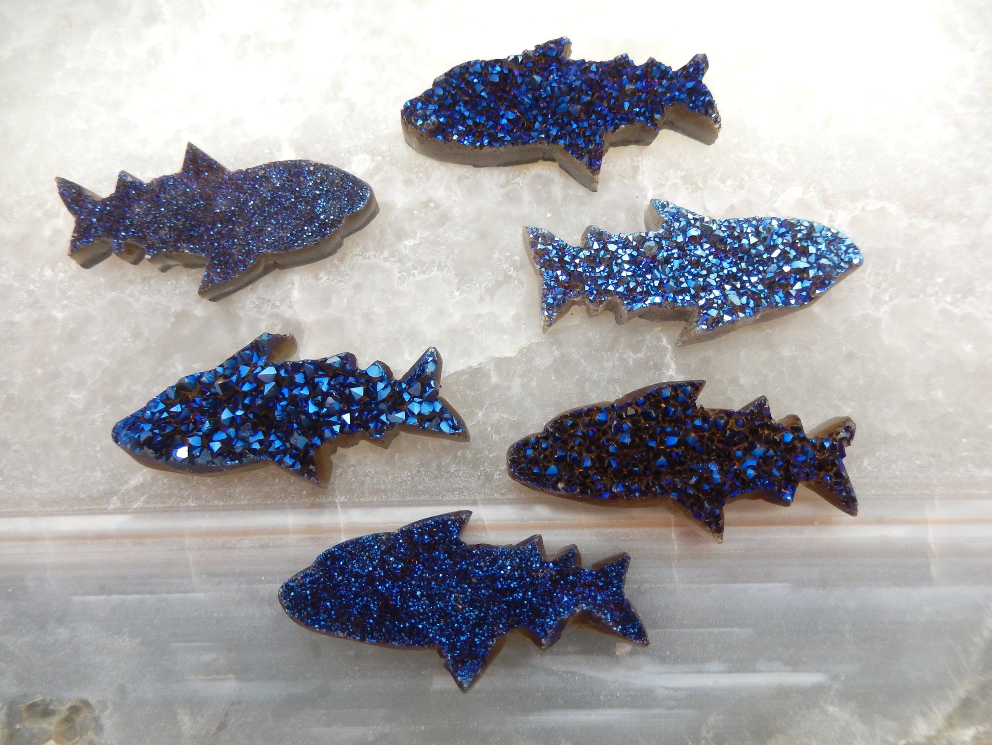Druzy Shark - Mystic Blue Shark Fish Cluster Cabachon -top view of six druzy sharks 