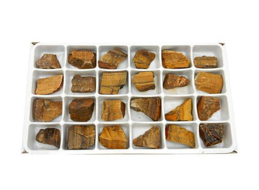tigers eye 24pc box 