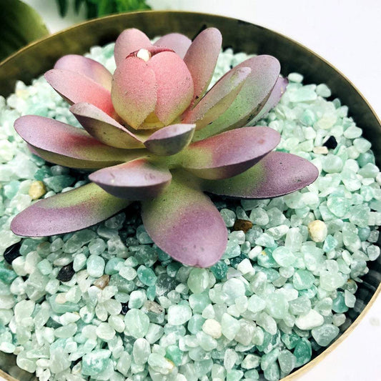 Green Quartz Tiny Chip Stones in a pot to show use
