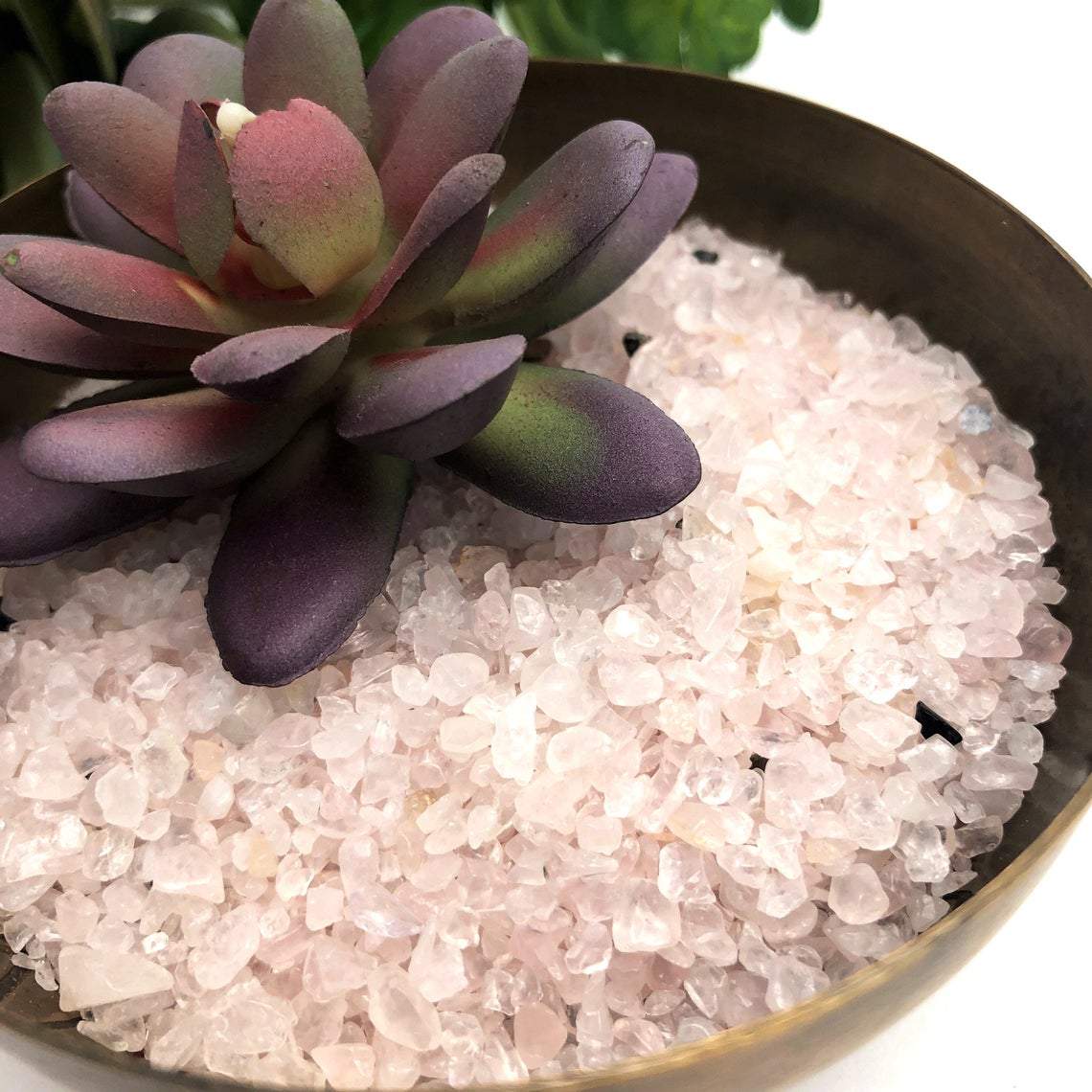 Rose Quartz Tiny Chip Stones in pot with succulent