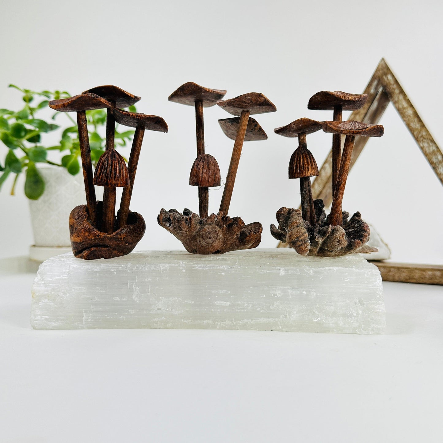 dark wooden mushrooms with decorations