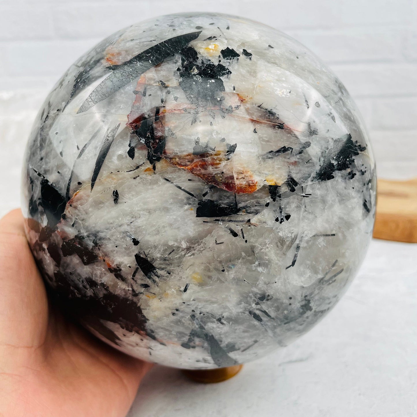  Gigantic Black Tourmilated Quartz Sphere - OOAK -With Hand