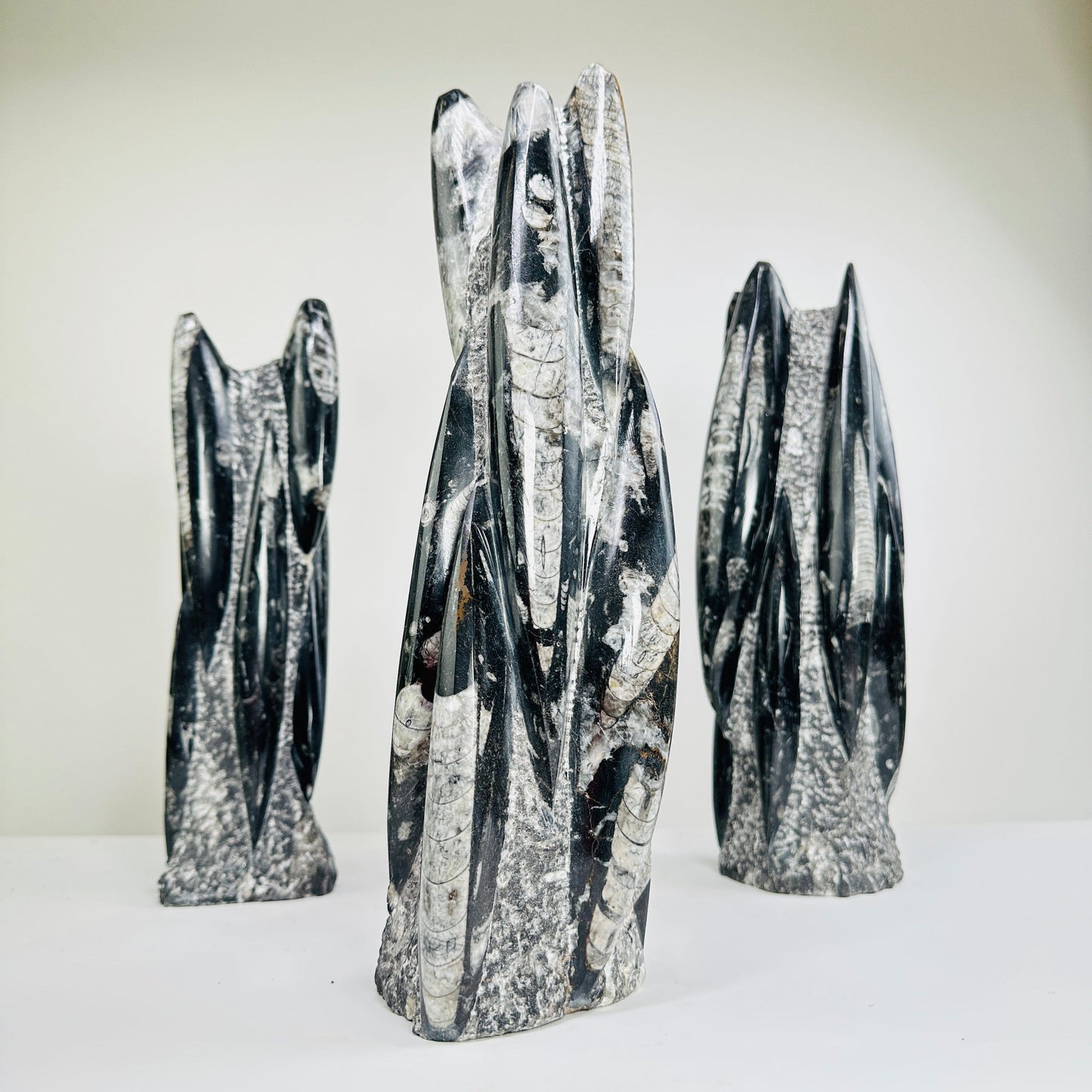 3 orthoceras towers on white background