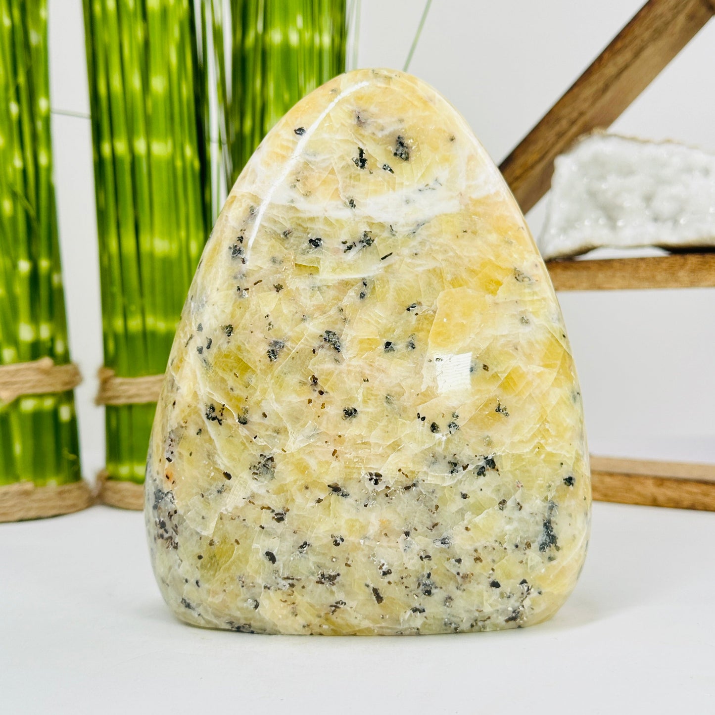 dendrite opal cut base with decorations in the background
